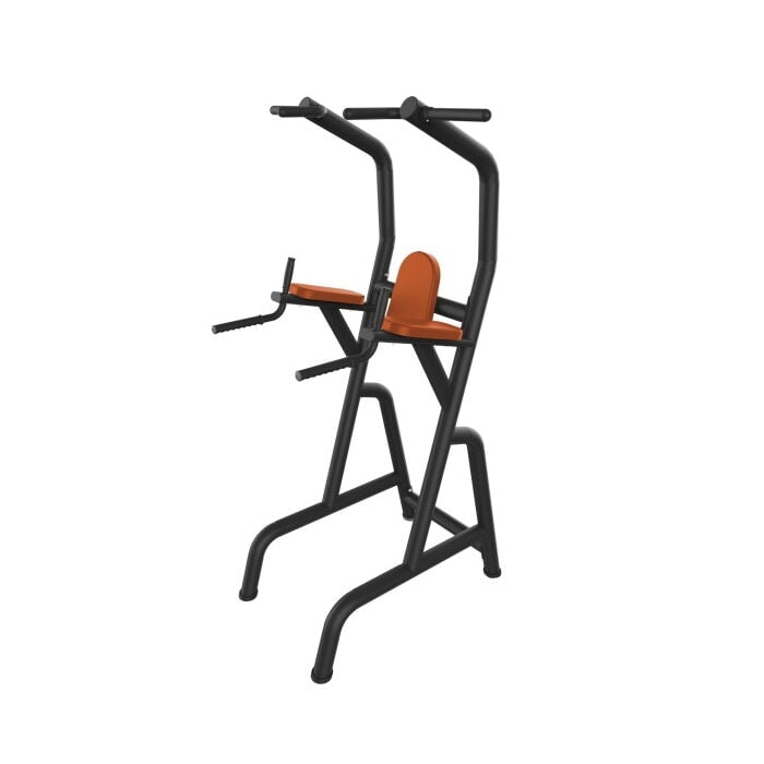 Aparat fitness Chin/Dip/Abdomen, tractiuni, flotari, abdomen Active Gym CL033