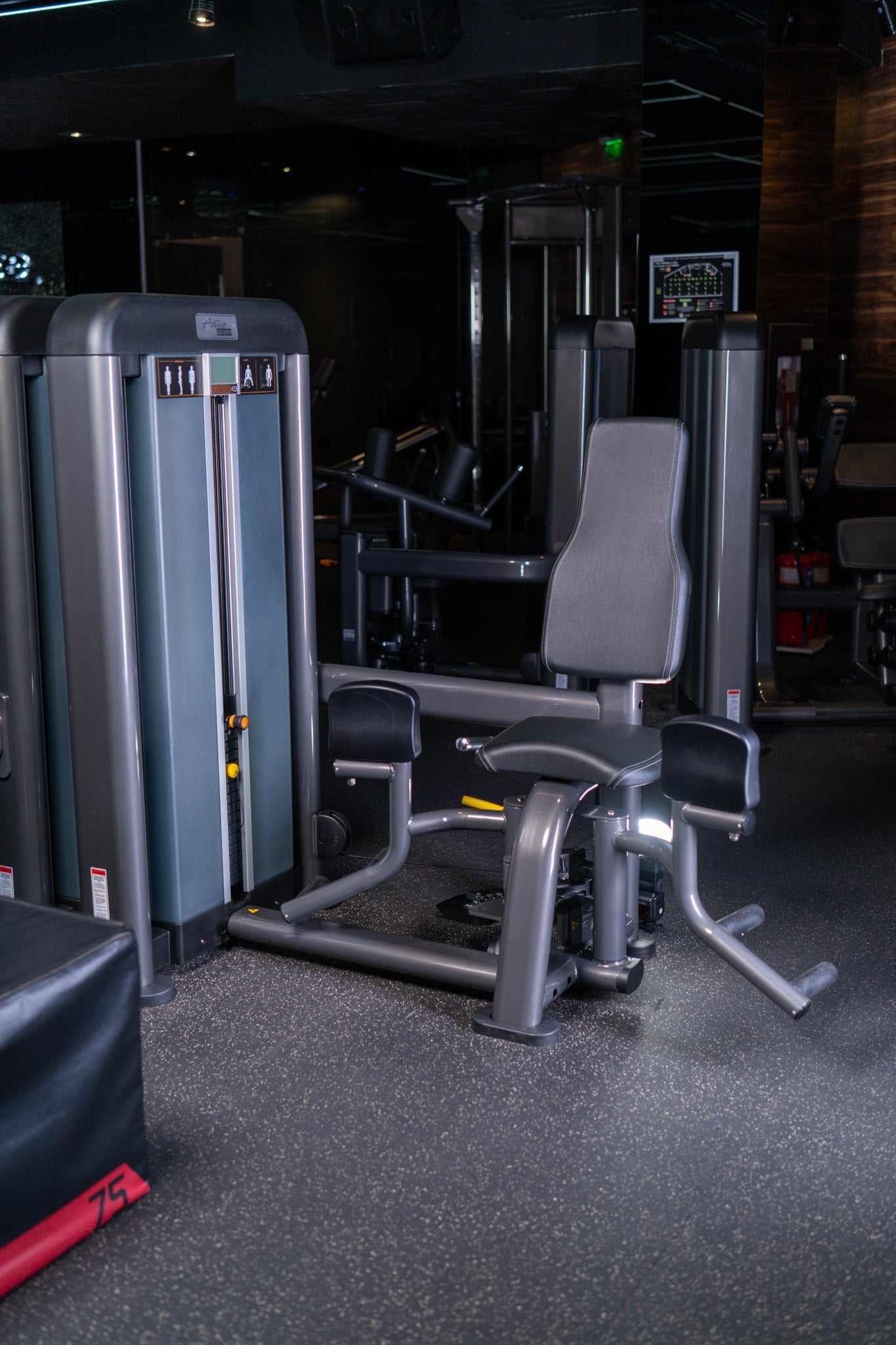 Aparat fitness pentru abductori Active Gym Premium Line PR020