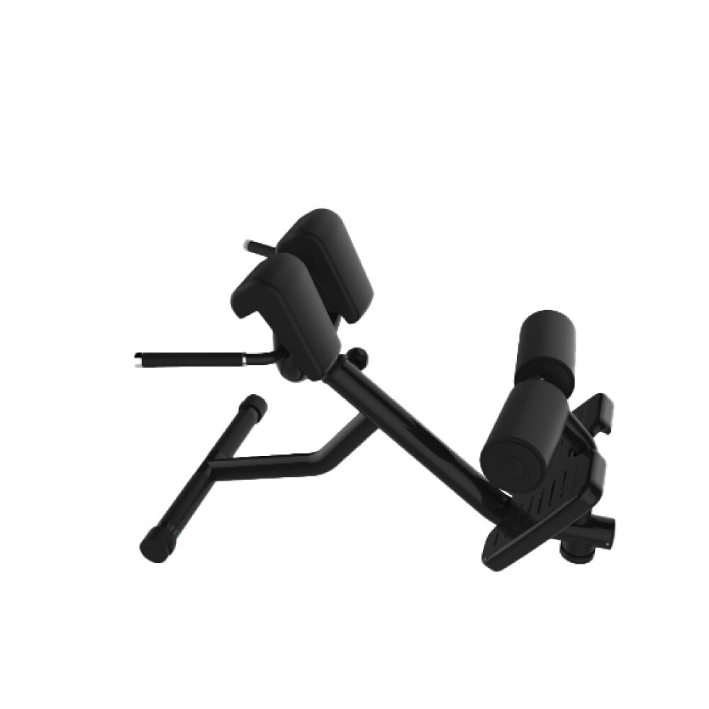 Aparat fitness pentru hiperextensii Active Gym Classic H1