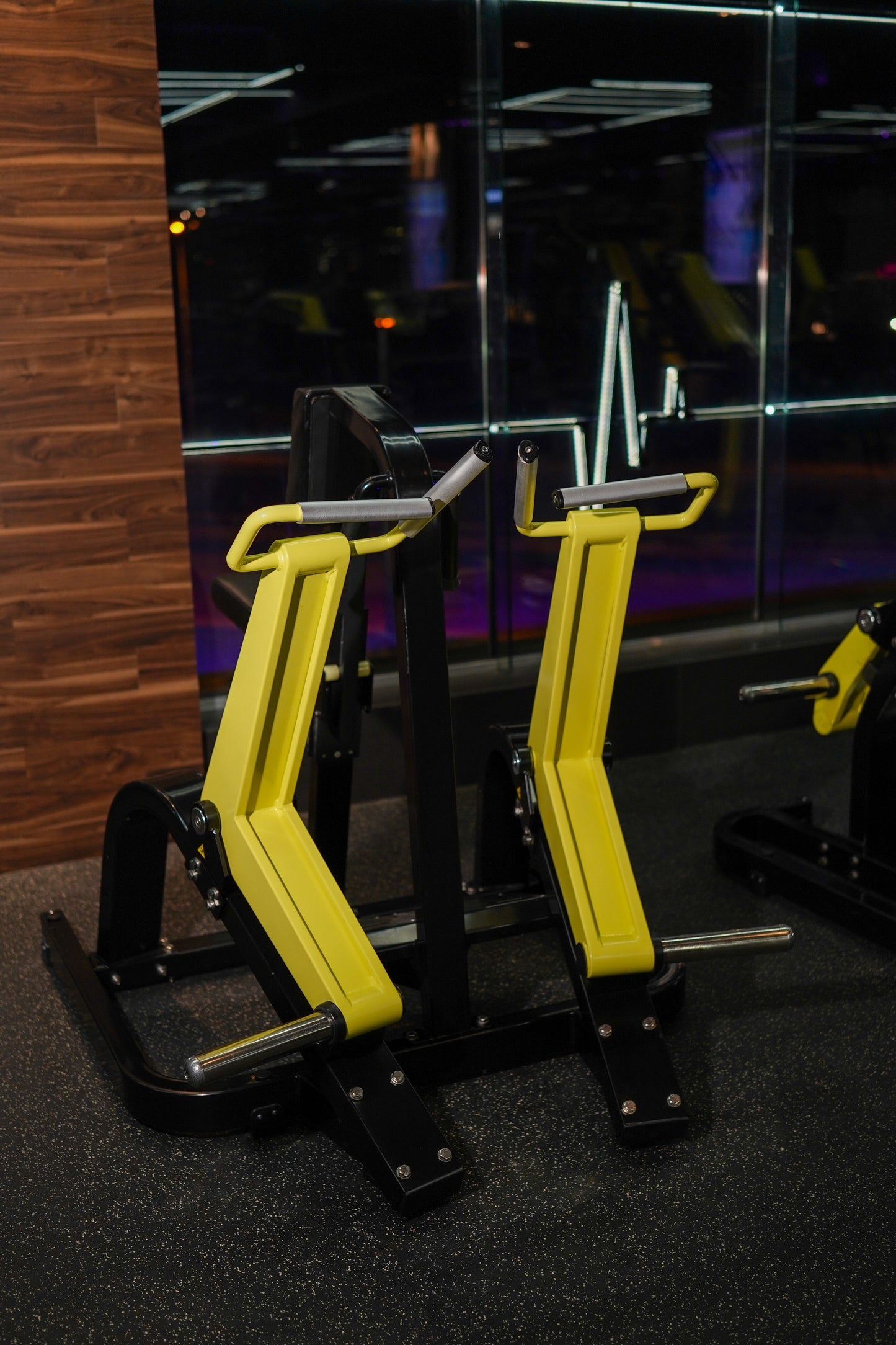 Aparat fitness pentru ramat Tech Pro Power Series R1