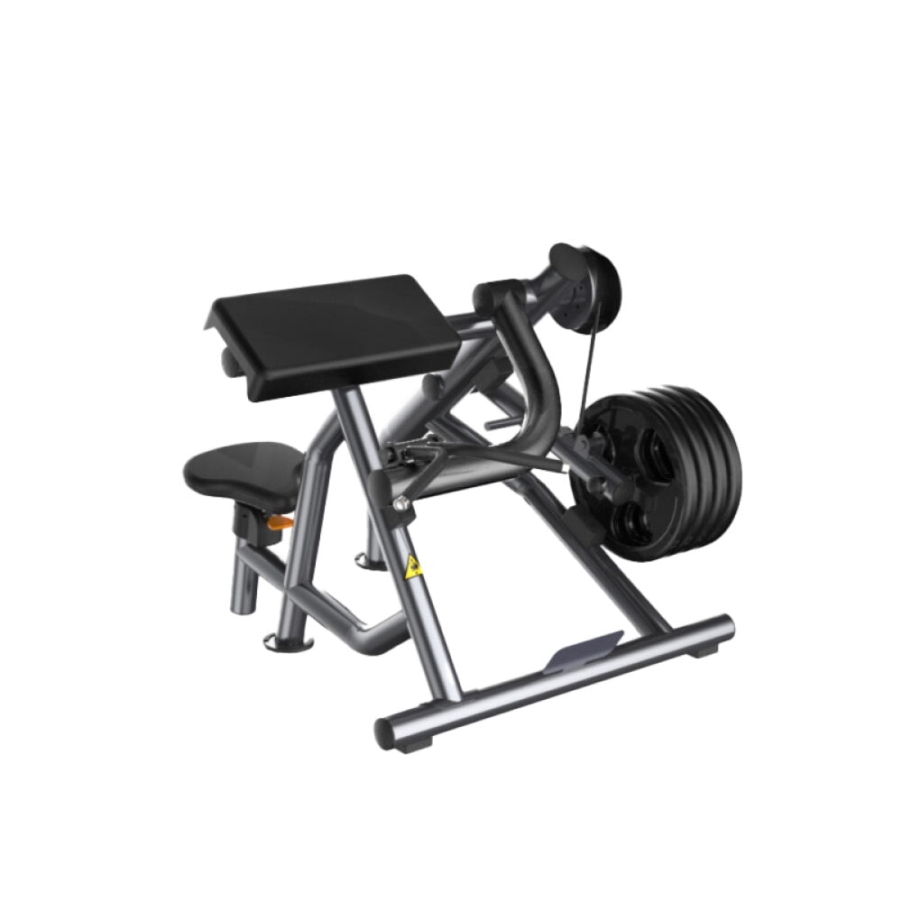 Aparat pentru biceps (încărcare cu discuri) Active Gym Premium Line PR007