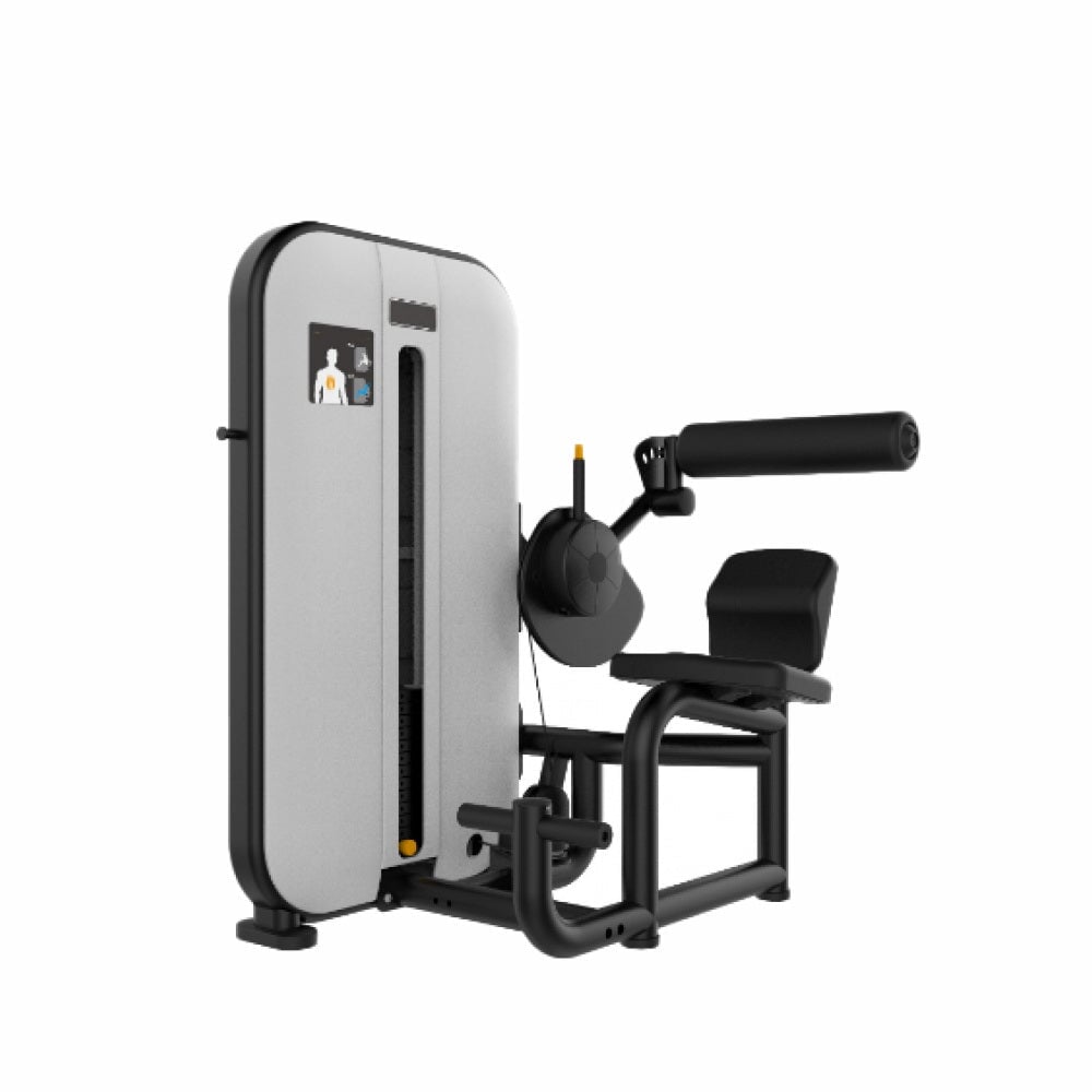 Aparat pentru ramat de sus Active Gym Classic Series CL017