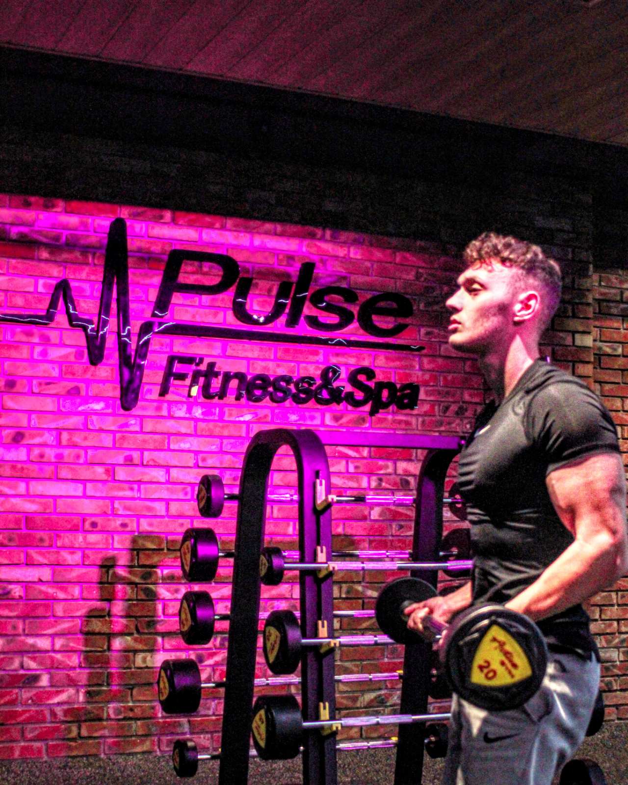 Bara Z Biceps Triceps 120cm 10kg Active Gym USA BZ1