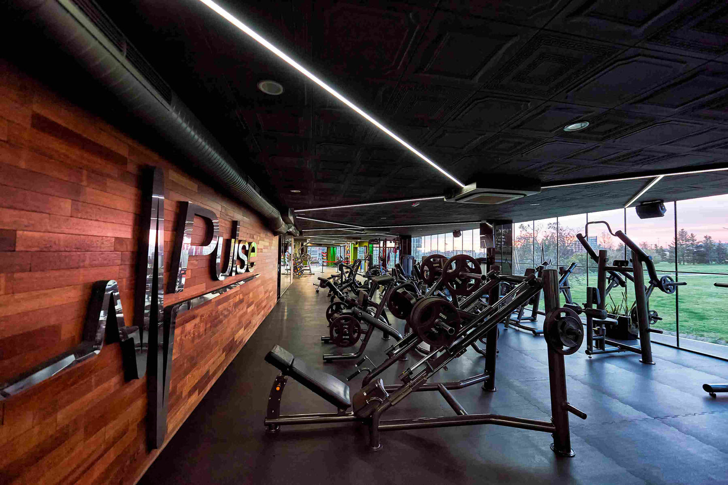 Presă picioare Active Gym Premium Line RR001