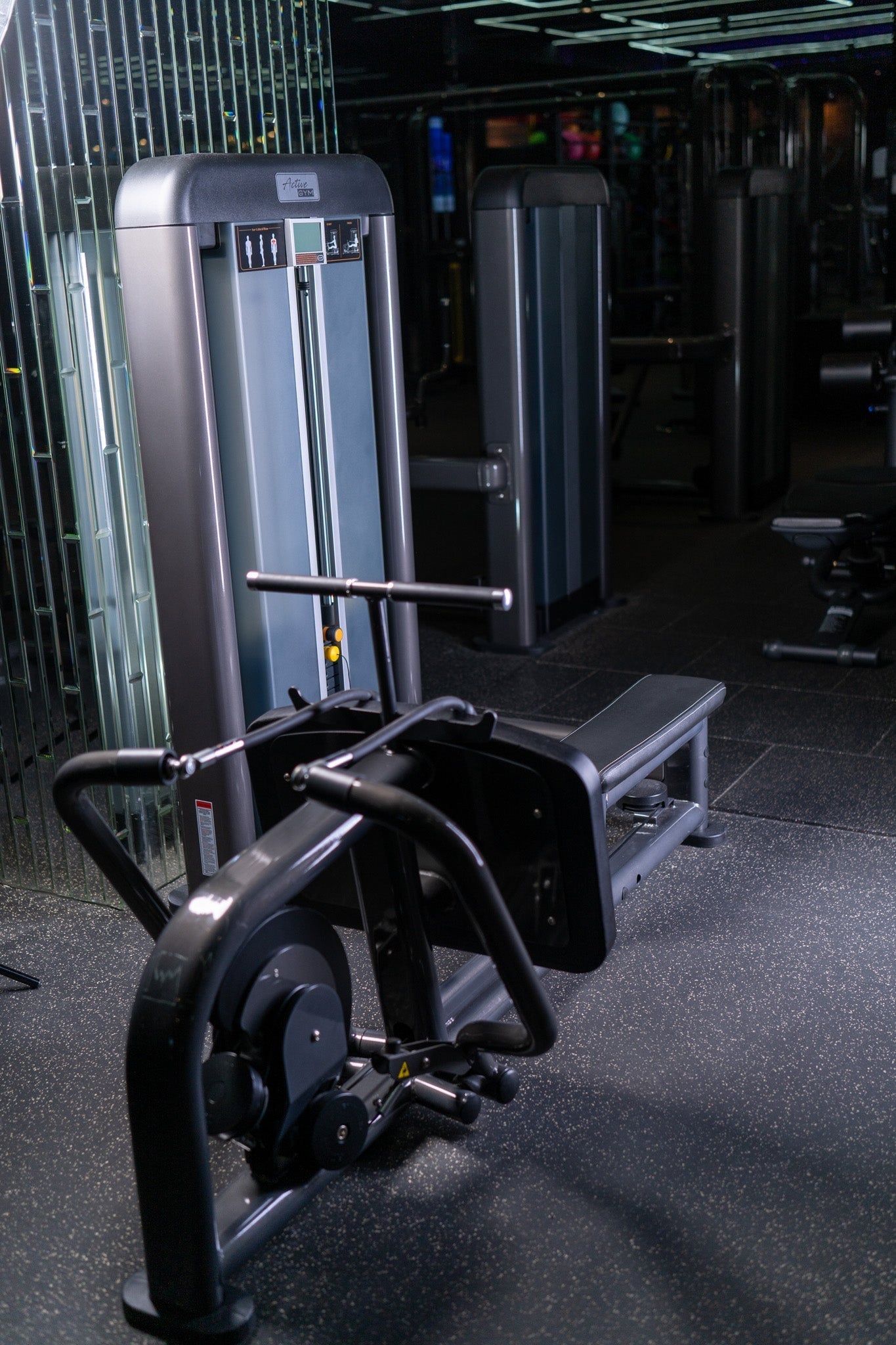 Ramat la scripete din sezut Active Gym Premium Line PR019