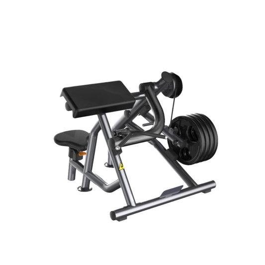 Aparat pentru biceps (încărcare cu discuri) Active Gym Premium Line PR007