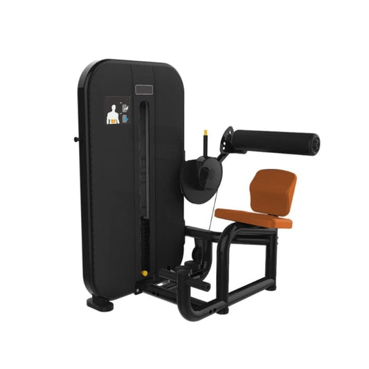 Aparat pentru ramat de sus Active Gym Classic Series CL017