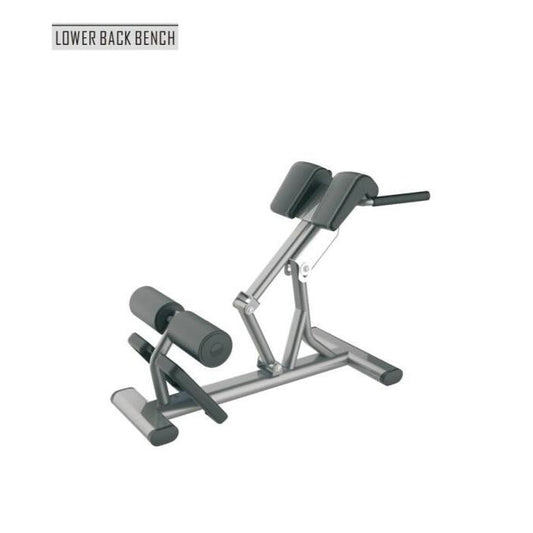 Aparat fitness pentru hiperextensii Active Gym Premium